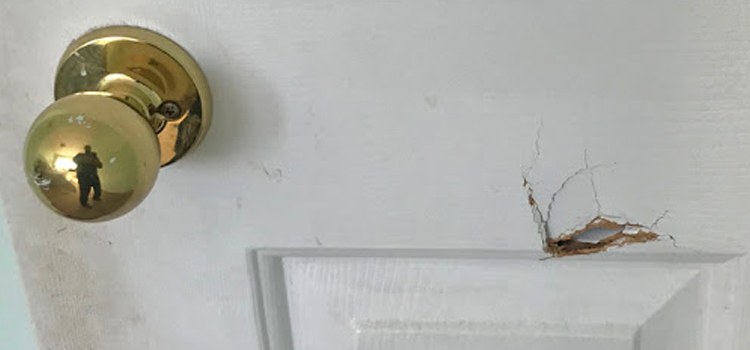 interior door hole repair Old Fig Garden