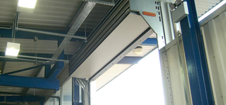 overhead sectional doors Old Fig Garden