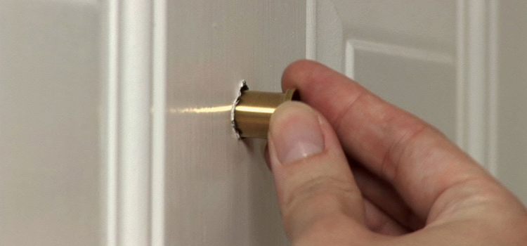 peephole door repair in Old Fig Garden